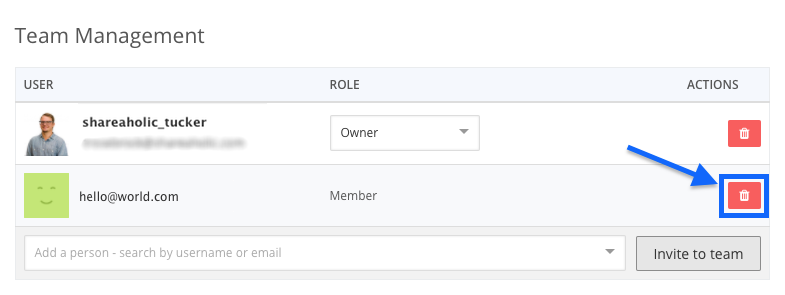 team_member_delete.png