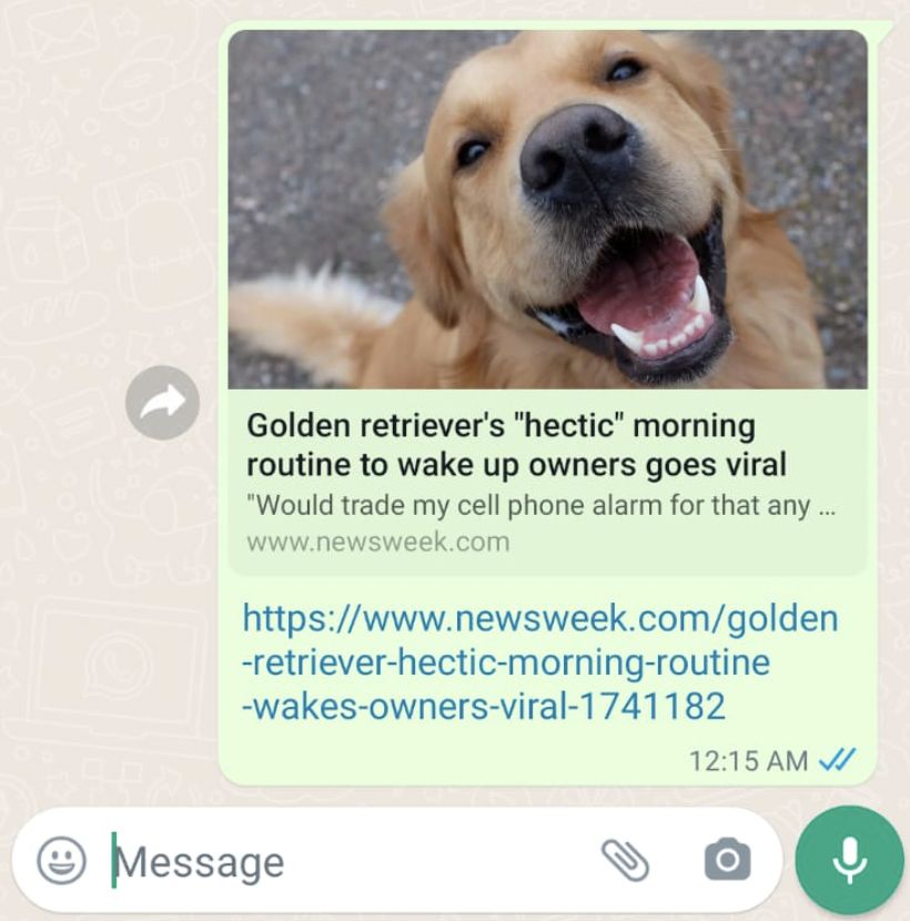 whatsapp-preview.png